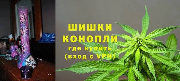 стафф Богородск