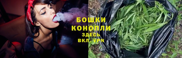 стафф Богородск